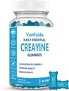 Creatina Gummies Mono-hidratado, Mastigado Creatina Mono-hidratado, Muscle Boost, Energia Boost, Suplemento pré-trabalho, Explosivos melhorados, Vegan, Apoio ao crescimento muscular, Recuperação e desempenho, Gluten Free