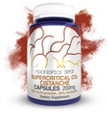 Nootropics Depot Cistanche Extract Cápsulas supercríticas de CO2