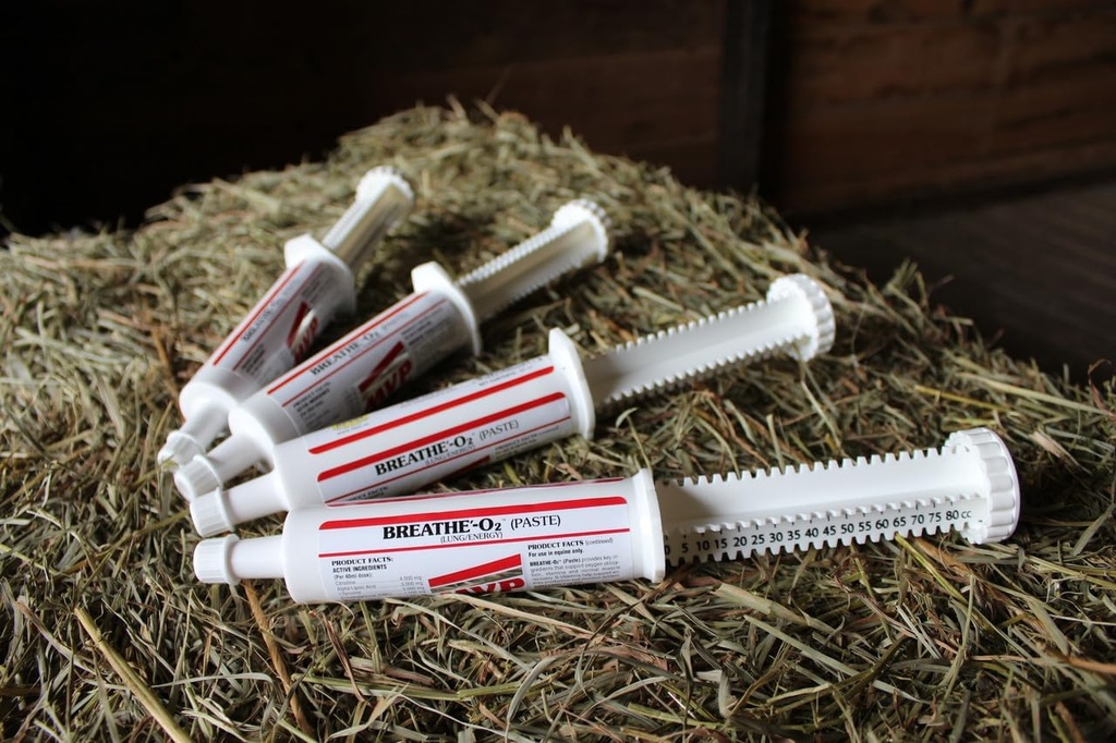 Respirar O'2 4 -Pack (8 doses) Colar pré-corrida para apoiar a função pulmonar/via aérea em cavalos