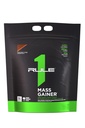 Regra 1 Gainer de massa de proteínas - Fórmula de ganho de peso de alta calorias com 1,220+ Calorias, 250g+ mistura complexa de carboidratos, 40g proteína de soro de leite por serviço (16 Servings, Chocolate Fudge)