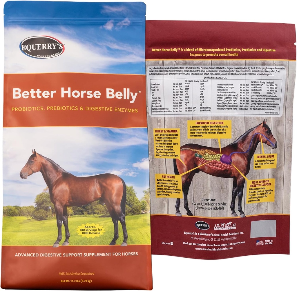 EQUERRY's Better Horse Belly - Suplemento com suporte de tripa □ Probióticos com Prebióticos e Enzimas Digestivas