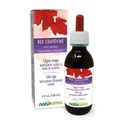 Naturalma Red Grapevine (Vitis vinifera) Folha sem álcool Tintura - 4 fl oz Extrato líquido em gotas - Suplemento de ervas - Vegan
