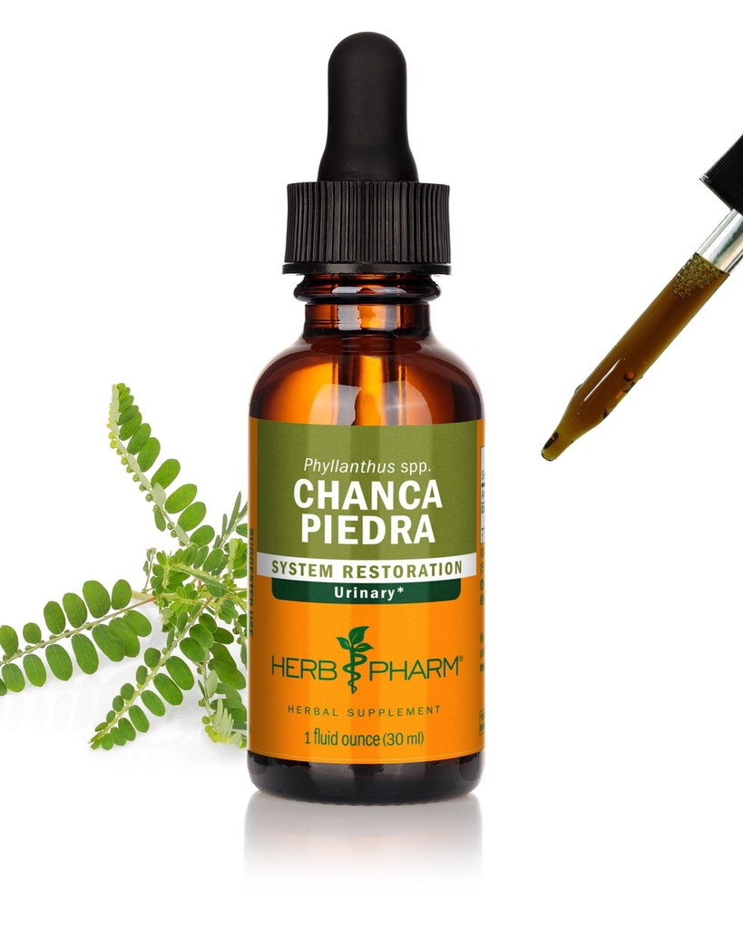 Herb Pharm Chanca Piedra Extrato Líquido para Suporte ao Sistema Urinário, 1 Fl Oz