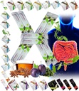 Todos Natural Detox Cleanse Instant Tea Mix Prune & Plum w. Fibra & Inulin para Trânsito Intestinal Optimal por FuXion Prunex 1 (10 saquetas)