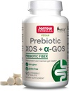 Fórmulas de Jarrow Prebiótico XOS + GOS - Suplemento Complexo de Fibra - 90 Comprimidos Mastigáveis - Enriquecimentos & Nutreshes Gut Microbiome - Suporta o Crescimento de Bactérias Beneficiárias - 30 Servimentos
