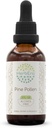 HerbEra Pine Pollen B60 Extrato de ervas sem álcool Tintura, gotas de líquido concentradas Natural (Canção Hua Fen, pinheiro escocês, Pinus Sylvestris) 2 fl oz