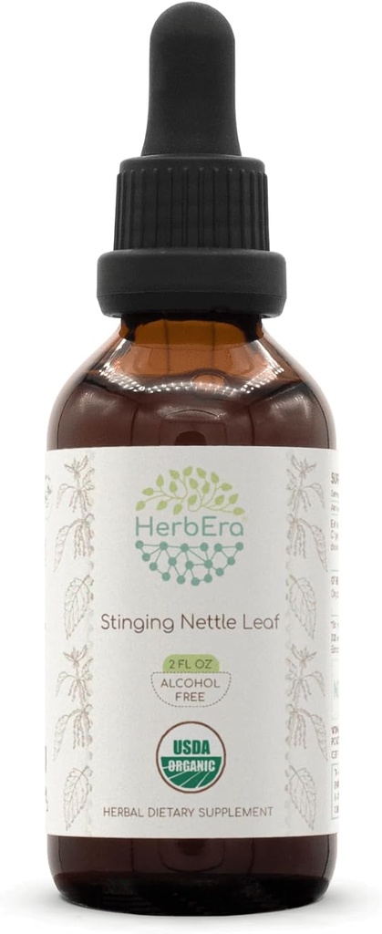 HerbEra Stinging Nettle Leaf B60 USDA Tintura Orgânica Extrato Livre de Álcool, Drops de Ervas de Alta Potencial (Urtica Dioica)