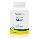 NaturesPlus IcelAndic Kelp - 150 mcg Iodine; 150 mg Kelp- 300 Comprimidos Vegetarianos - Suplemento de Iodo Natural - Sem Glúten - 300 Servimentos