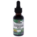 Resposta da natureza Goldenseal Raiz de ervas Suplemento de ervas Suporta um sistema imunológico saudável