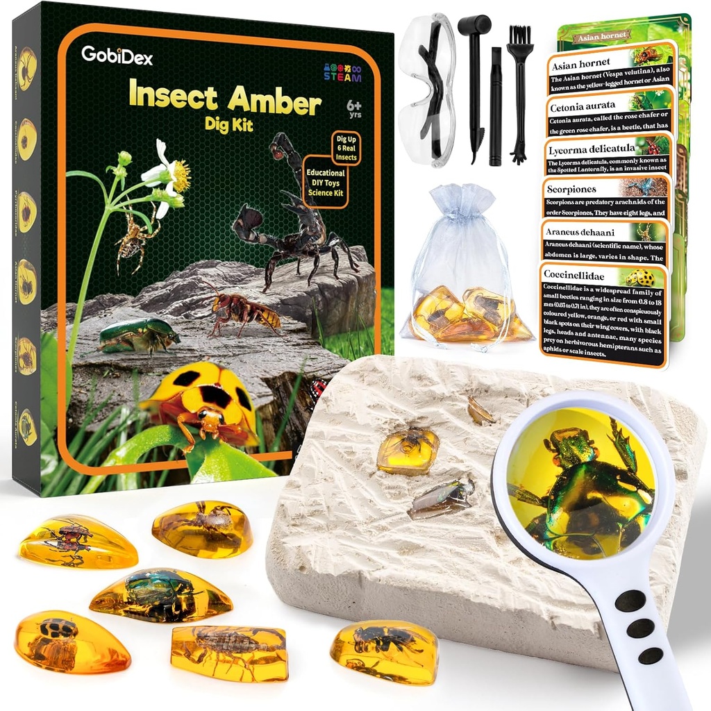 GobiDex Amber Dig Kit-Resina Artificial de Insetos, Excavate 6 Insetos Especimens, STEM Geographic Educational Bugs Toys, Excavation Toys for Fun Bugs Party Favores, Science Kits for Kids Age 6-8 8-12