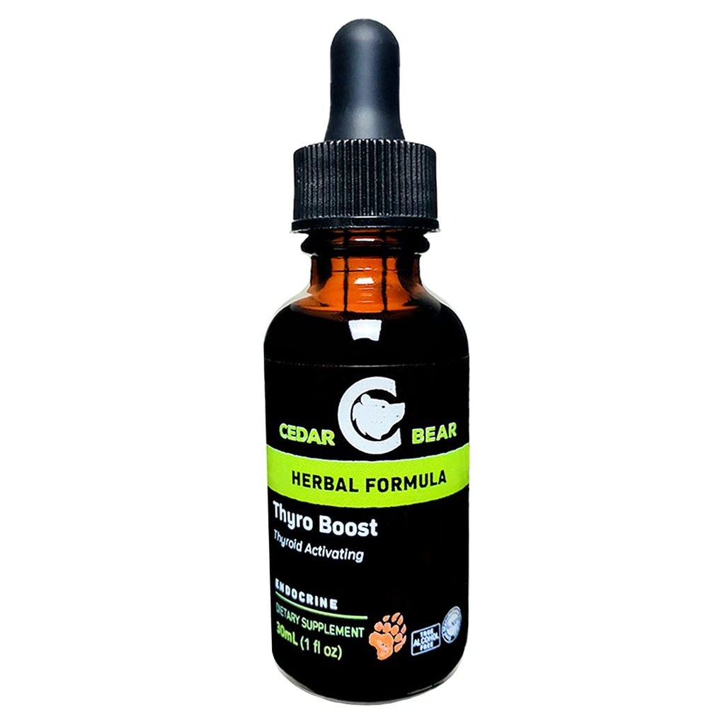 Cedar Bear Thyro Boost um suplemento de ervas líquidas que ajuda a ativar e construir função da tireóide e integridade estrutural 1 Fl Oz