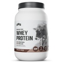 Níveis de proteína de whey alimentado de grama em pó, sem artificiais, 24G de proteína, Mocha de chocolate, 2LB