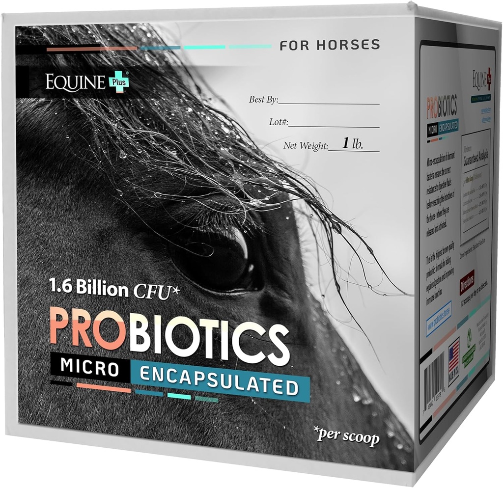Probióticos micro-encapsulados para cavalos - Premium Equine Digestive Health Supplement