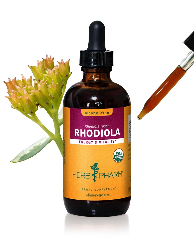 Herb Pharm certificado Rhodiola extrato de raiz orgânica para energia, resistência e resistência, Glicerite sem álcool, 4 Once
