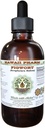 Extrato líquido livre de álcool, Figwort orgânico (Scrophulara Nodosa) Glicerite de ervas secas Hawaii Pharm Natural Herbal Supplement 2 onças