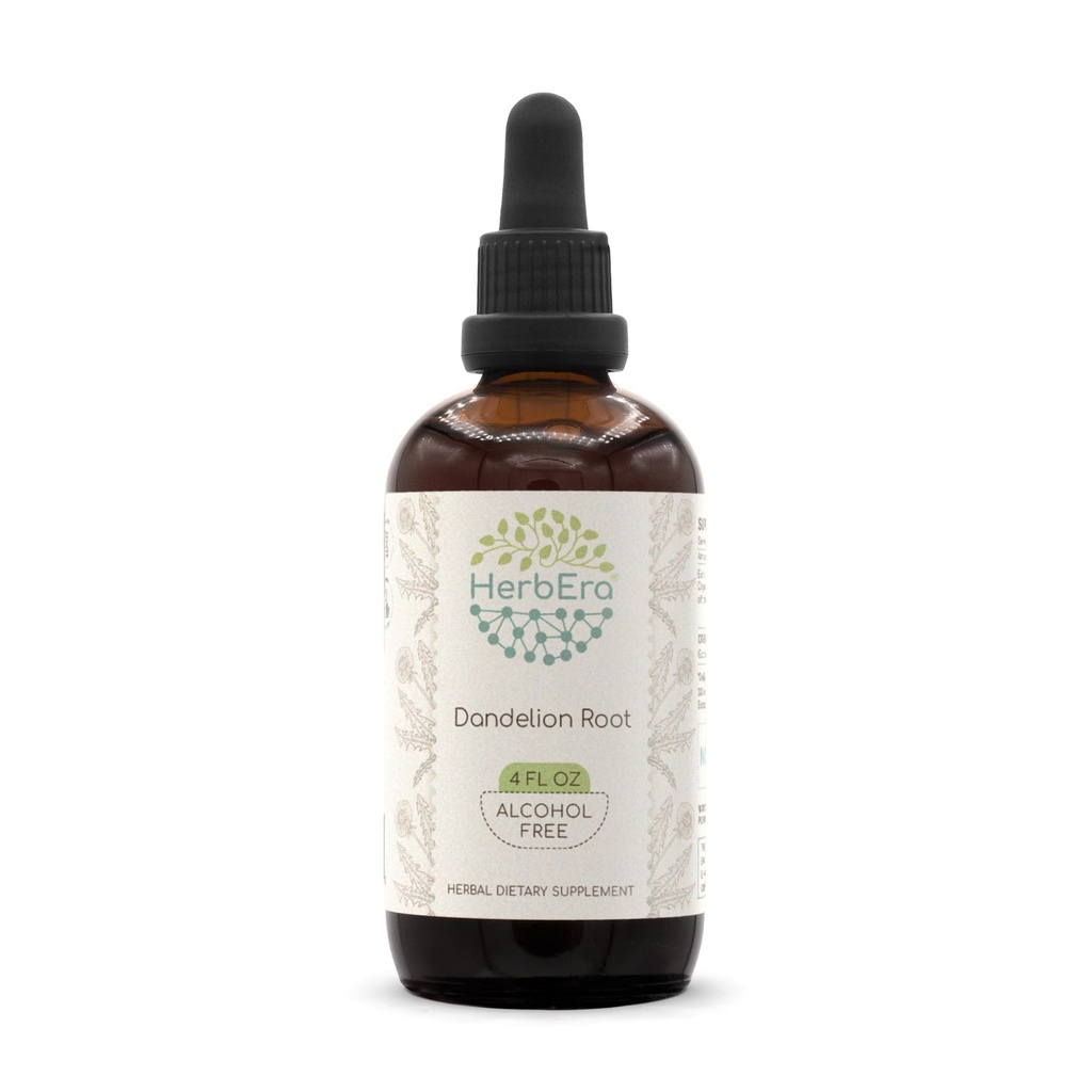 HerbEra Dandelion Raiz B120 Extrato de ervas sem álcool Tintura, Superconcentrado Dandelion (Taraxacum Officinale) Raíz seca (4 fl oz)