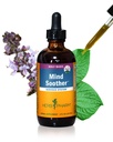 Herb Pharm Mente Soother: Santo Basílio: Suplemento Kava líquido para apoiar a calma e relaxamento, Suporte estabilizador para o sistema nervoso, Feito com Nobre Kava & Lavanda Flor, Vegan, Sem glúten, 4 oz*