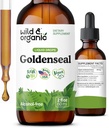 Selvagem & Orgânico Goldenseal Root Tintura - Lung Cleanse, Immune & Digestive Support - Líquido Goldenseal Supplement - Vegan, Açúcar & Álcool Drops Herb - 2 fl oz