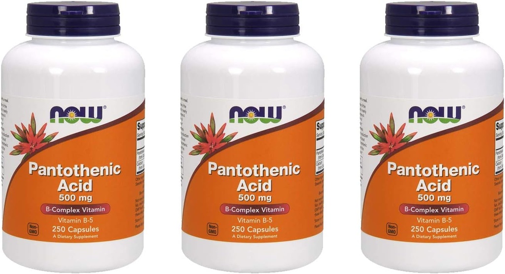 AGORA Alimentos Ácido Pantoténico 500 mg, 250 Cápsula (3 Embalagem)