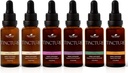 Terapia vegetal Conjunto de tinturas orgânicas iniciantes 30 mL Cada um de Ashwagandha orgânica, Ginseng asiático, Echinacea Blend, Elderberry, Limão Balm & Açafrão