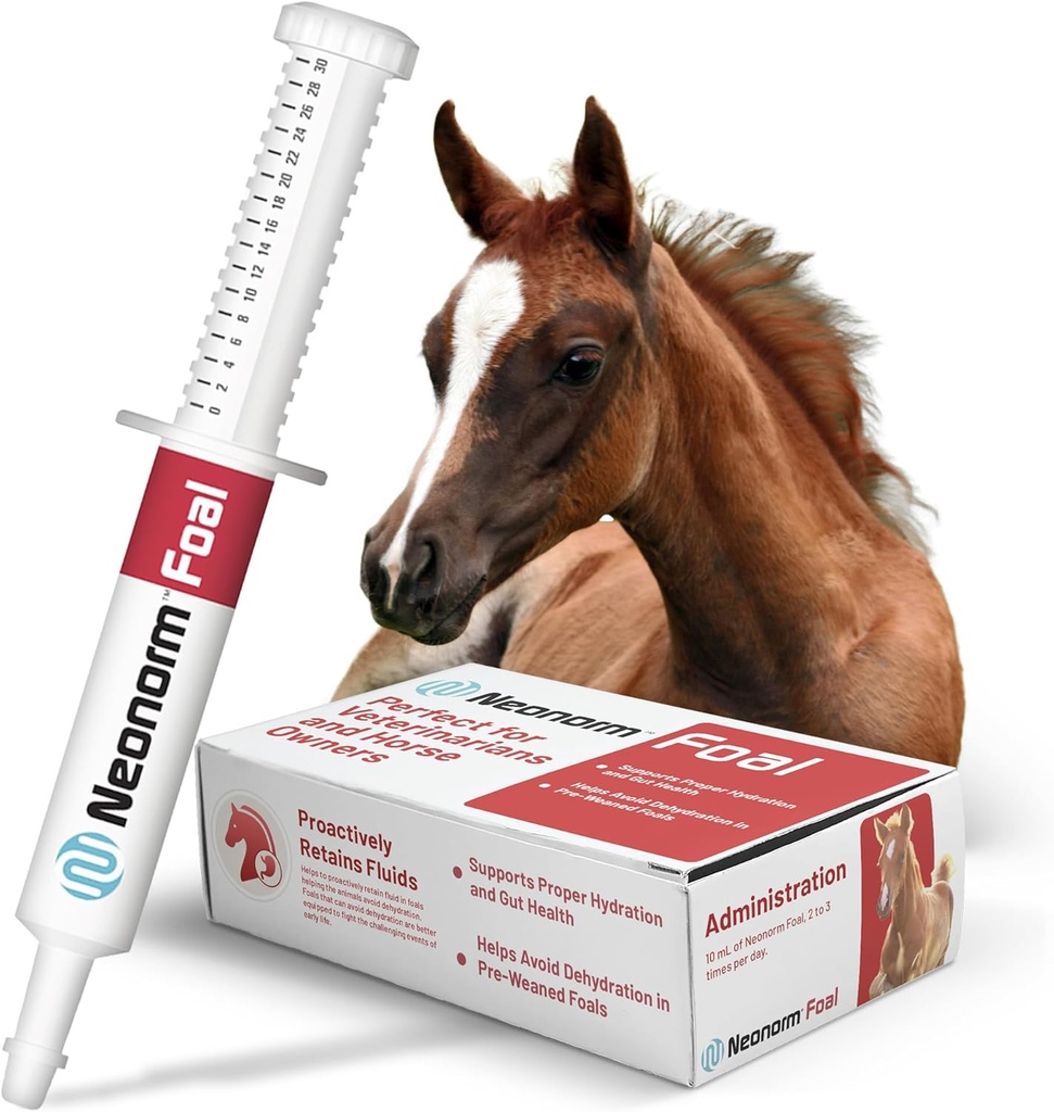 Potro de Saúde Animal Jaguar - Equine Supplement Paste para o apoio à adequada hidratação e saúde intestinal - Produto baseado em plantas para pré-desmam potros (30 mL)