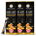 Himalayan Shilajit Honey Sticks para homens e mulheres - 75%+ Ácido Fulvico & Trace Minerals - Mel cru, açafrão e Himalayan Shilajit Resin - resistência, desempenho e suporte energético - (Pacote de 30)