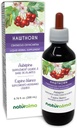 Naturalma Hawthorn (Crataegus oxyacantha) Folha e flor Tintura sem álcool - 6.76 fl oz Extrato líquido em gotas - Suplemento de ervas - Vegan