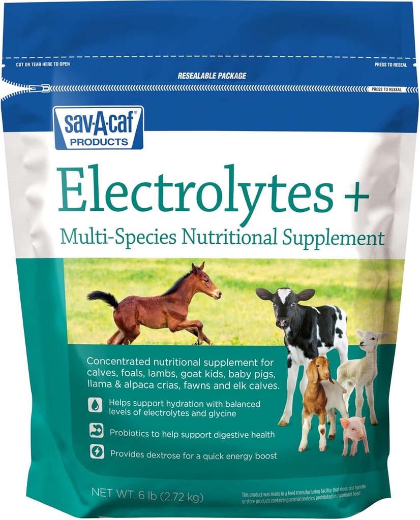 Eletrólitos de Sav-a-Caf PlusTM Suplemento 6 Libras (6 LB) Bolsa