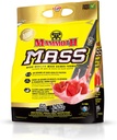Massa MAMOTH: Gainer peso, alta caloria proteína pó de treino Shake Smoothie, substituição de refeições, baixo açúcar, Whey isolate concentrado, mistura de proteína de caseína, proteína alta (Strawberry, 5lb)