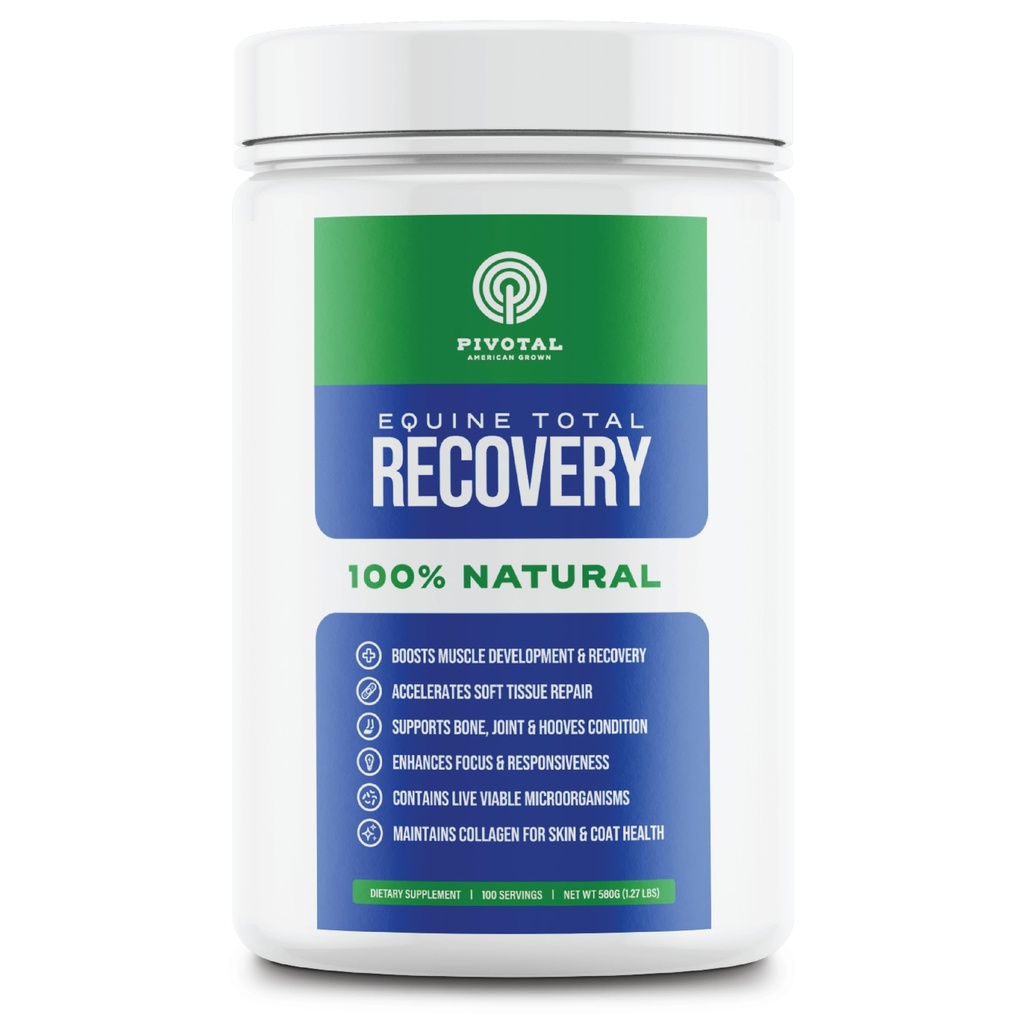Equine Total Recuperação Cavalo Suplemento - 9 Equino Aminoácidos Mais Probióticos para Cavalos -100% Natural- Sem Açúcar Adicionado, Sem Soja, Sem Enchimentos - Cavalo Suplemento de Apoio Conjunto (100 Servões)