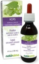 Naturalma Hop (Humulus lupulus) strobilus or Cone (Flores femininas) Tintura sem álcool - 4 fl oz Extrato líquido em gotas - Suplemento de ervas - Vegan