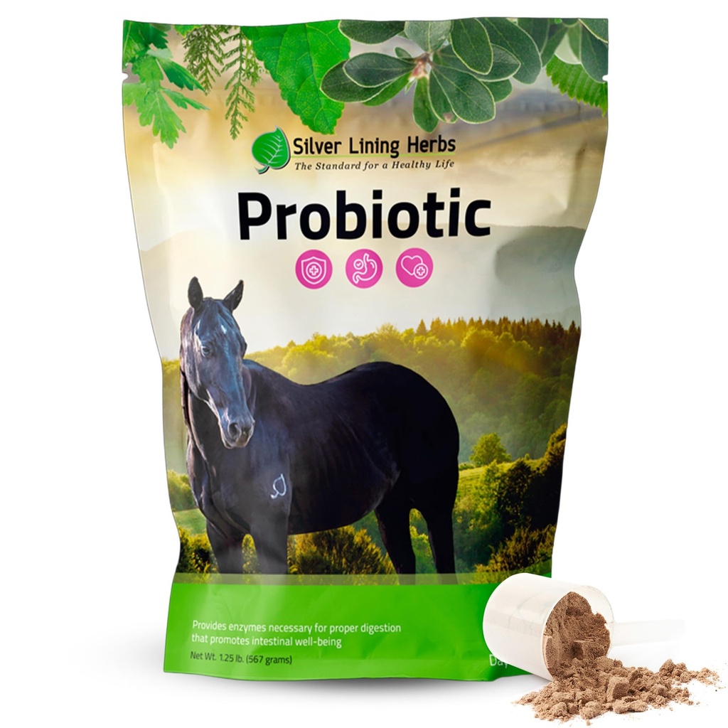 Silver Forro Herbs Horse Probióticos Suplementos digestivos - Enzima Digestiva & Gut Saúde Probiótico Suplemento para cavalos - Contém 13,2 bilhões UFC Probiótico Strains - 1,25 lb 60-Dia Fornecimento