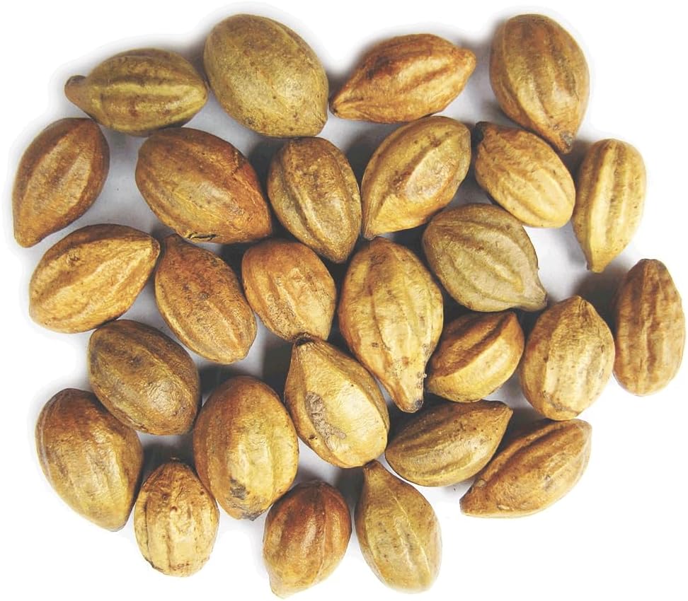 Naturals Terminalia Chebula . Kadukkai . Harad . Inknut .Haritaki Indian Origin Herbs (200g(7 oz))