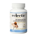 Echinacea Angustifolia não-GMO seco fresco INSTITUTO ELECTICO