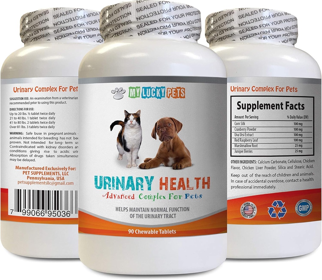 gato alívio ITU - Animais de estimação Complexo de saúde urinária - para cães e gatos - Suporte avançado de bexiga - gato urinar de cranberry - 1 garrafa (90 Doces)