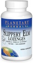 Plantas de ervas planetárias Slippery Elm Morangos Lozenges, Apoio à Garganta de Ervas, 100 Lozenge