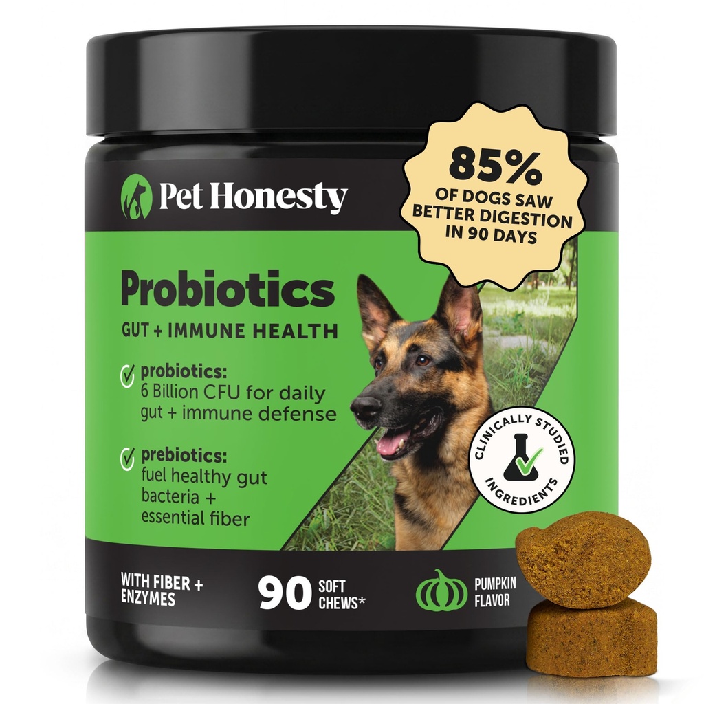 Pet Honestidade Probióticos para cães para Diarréia Ocasional & Suporte Bowel, Enzimas Digestivas com Prebióticos para Gut Saúde para Cães, Imunidade Saúde & Itch alívio (Pumpkin 90 ct)