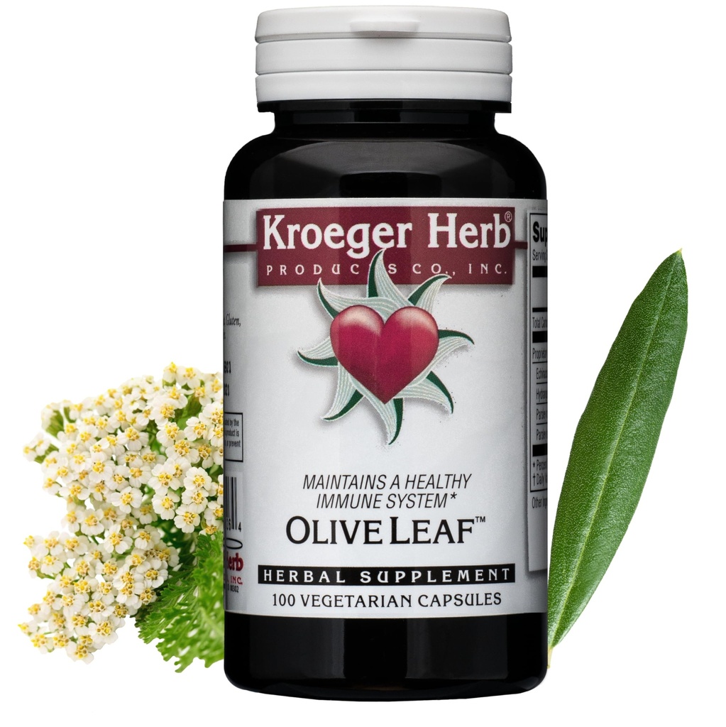 Kroeger Herbs, Olive Leaf Extract Cápsulas para Imune System, Olive Leaf & Yarrow Supplement, Vegetarian, Non-GMO, Gluten Free, No Conservatives - 100 Cápsulas, Made in USA