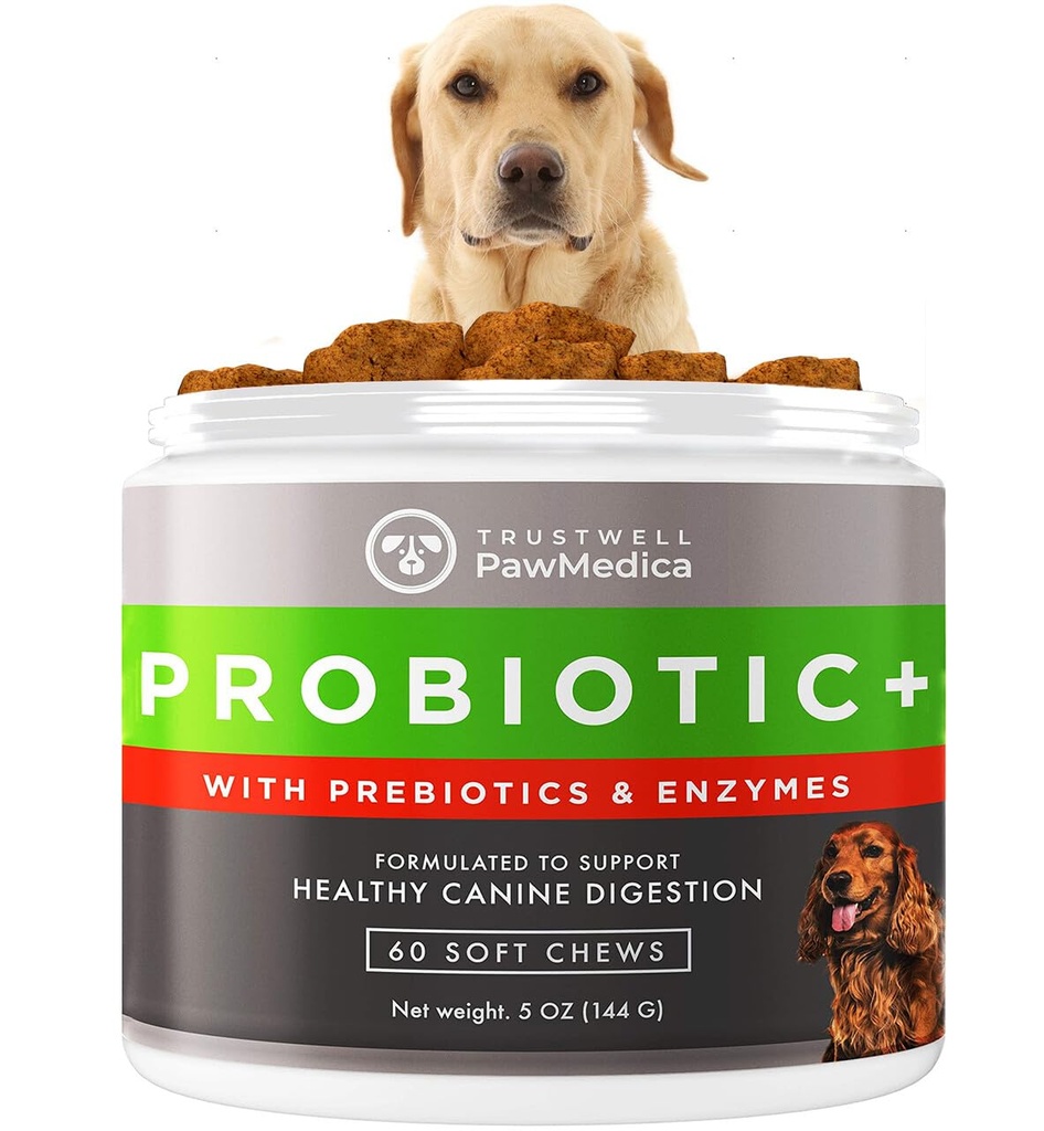 PawMedica Dog Probióticos e Enzimas Digestivas, Probióticos para cães Made in USA, Pet Probiótico Mastiga para cães, Prebióticos & Probiótico Dog Digestive Support, Probiótico Doces - 60 Dog Probiótico Mastiga