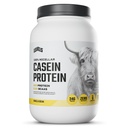 Níveis 100% Micellar proteína de caseína, livre de hormônios, feijão de baunilha, 2LB