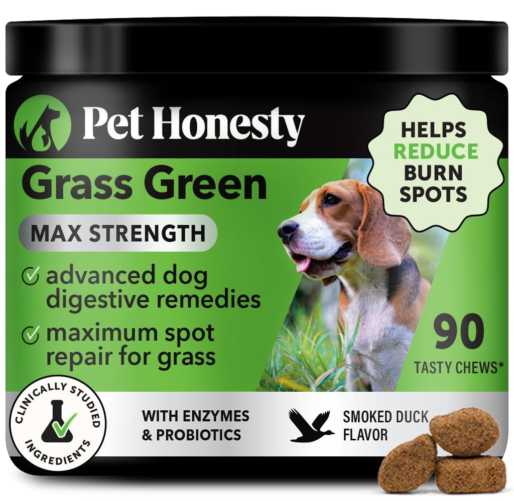 Grass Verde Máx força mastiga para cães – Premium cão jardim de urina Spot Saver Suplemento – Suporta Digestão saudável, Gut & Saúde urinária com Probióticos, DL-Metionina e Yucca (90ct Flavor Duck)