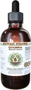 Quassia Alcohol-Free Liquid Extract, Quassia (Quassia Amara) Dried Bark Glicerite Natural Herbal Supplement, Hawaii Pharm, USA 2 fl.oz