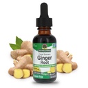 Resposta da natureza Gengibre raiz álcool Extrato grátis 1 Onça Suporta função do estômago Vegan