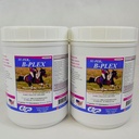 SU-PER B-Plex Powder Equinine Vitaminas - Completo B-Complex Horse Vitaminas e Minerais Suplemento - Hooves saudável, Células de sangue vermelho, Horse Calming Powder - 2,5 libras, (2 pacote)