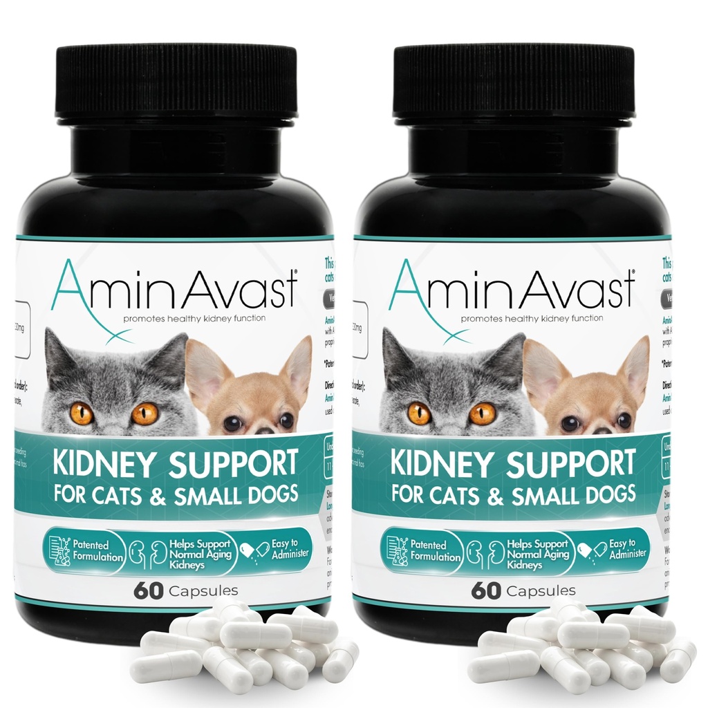 AminAvast Kidney Support Supplement for Cats and Small Dogs, 300mg 2-Pack - Promove a função natural do rim - Aids na saúde e vitalidade dos rins do envelhecimento - Administração fácil - 60 cápsulas de aspersão