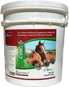 CVM - Vitaminas Horse - Vitamina e Suplemento para Cavalos - Suplementos Horse - Revestimento saudável e brilhante - Selênio - Suplementos de alimentação - Complexo Vitamina Mineral (Grande)