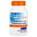 Médicos Melhor ácido hialurônico+ Sulfato de condroitina, Suporta Joint & Skin Health, Não-GMO, Gluten Free, Soy Free 60 Cápsulas Veggie