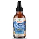 2000MG Lipossômico Glutationa Liquid, 98% Absorção, Forma ativa L-Glutationa Suplemento, Vegan Friendly, Complexo poderoso antioxidante para o sistema imunológico, Defesa do envelhecimento, Detox, 2 FL.OZ
