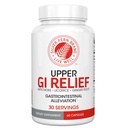 Silver Fern GI Relief - Suplemento de ervas naturais - Tudo natural com extrato de folha de alcachofra, extrato de raiz de gengibre, e GutGuard Alcaçuz flavonoides (1 garrafa - 60 cápsulas - 30 dias de fornecimento)