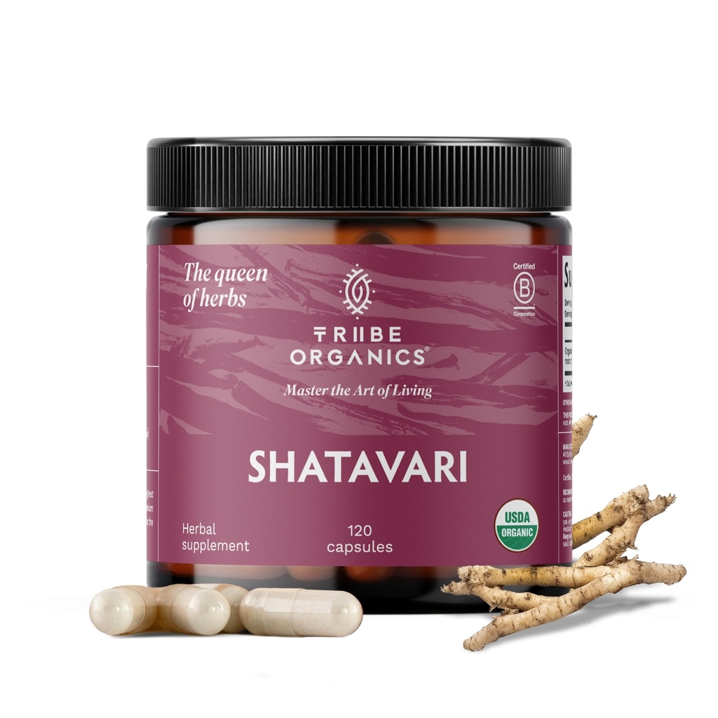 TRIBE ORGANICS Orgânico Shatavari Herbal Supplement - Equilíbrio Hormonal - Saúde Reprodutiva das Mulheres □ Aleitamento □ Imune & Suporte Inflamatório - Não-GMO USDA Orgânico 120 Cápsulas Vegan
